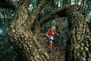 BIB: 
                            <button type="button" onclick="openModal(25392631)" class="btn btn-primary btn-sm float-right btn-popup" data-toggle="modal" data-target=".modal-high-quality">
                        <i class="fas fa-shopping-cart"></i> Add to Cart
                    </button>
                                            <button type="button" onclick="isThisMe(25392631, true)" class="btn btn-success btn-sm float-right btn-popup btn-isme hidden" data-toggle="tooltip" data-placement="bottom" title="นี่คือรูปของคุณใช่ไหม คลิกที่นี่เพื่อเอาเข้าอัลบั้ม">
                        <i class="fas fa-plus"></i> Add to album
                    </button>
                    <button type="button" onclick="isThisMe(25392631, false)" class="btn btn-warning btn-sm float-right btn-popup btn-isnotme hidden">
                        <i class="fas fa-ban"></i> Remove from album
                    </button>